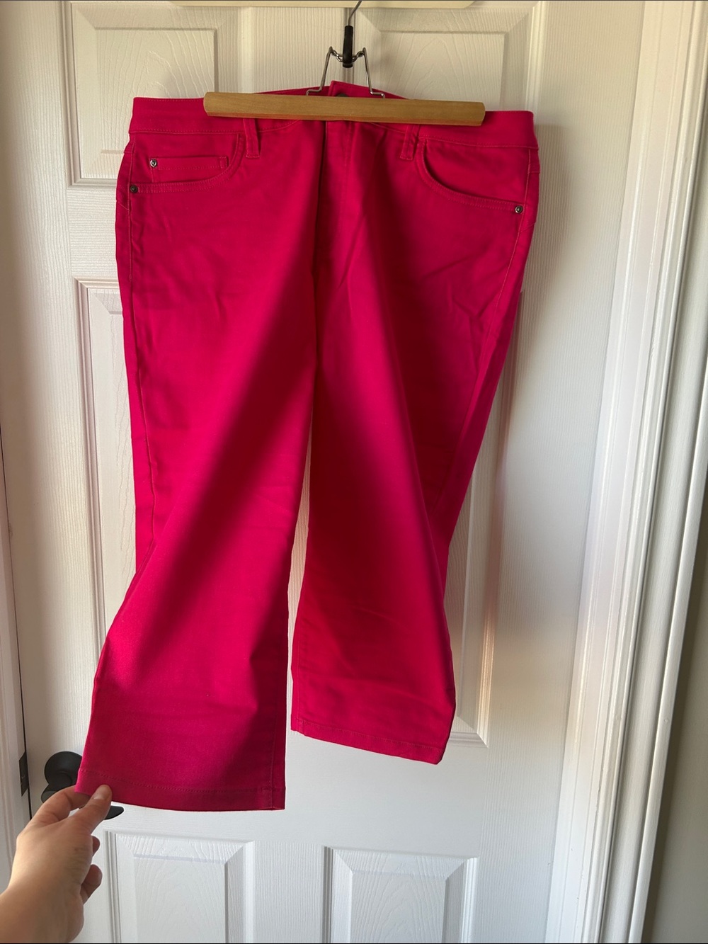 Cleo Petite Bright Fuchsia Capris